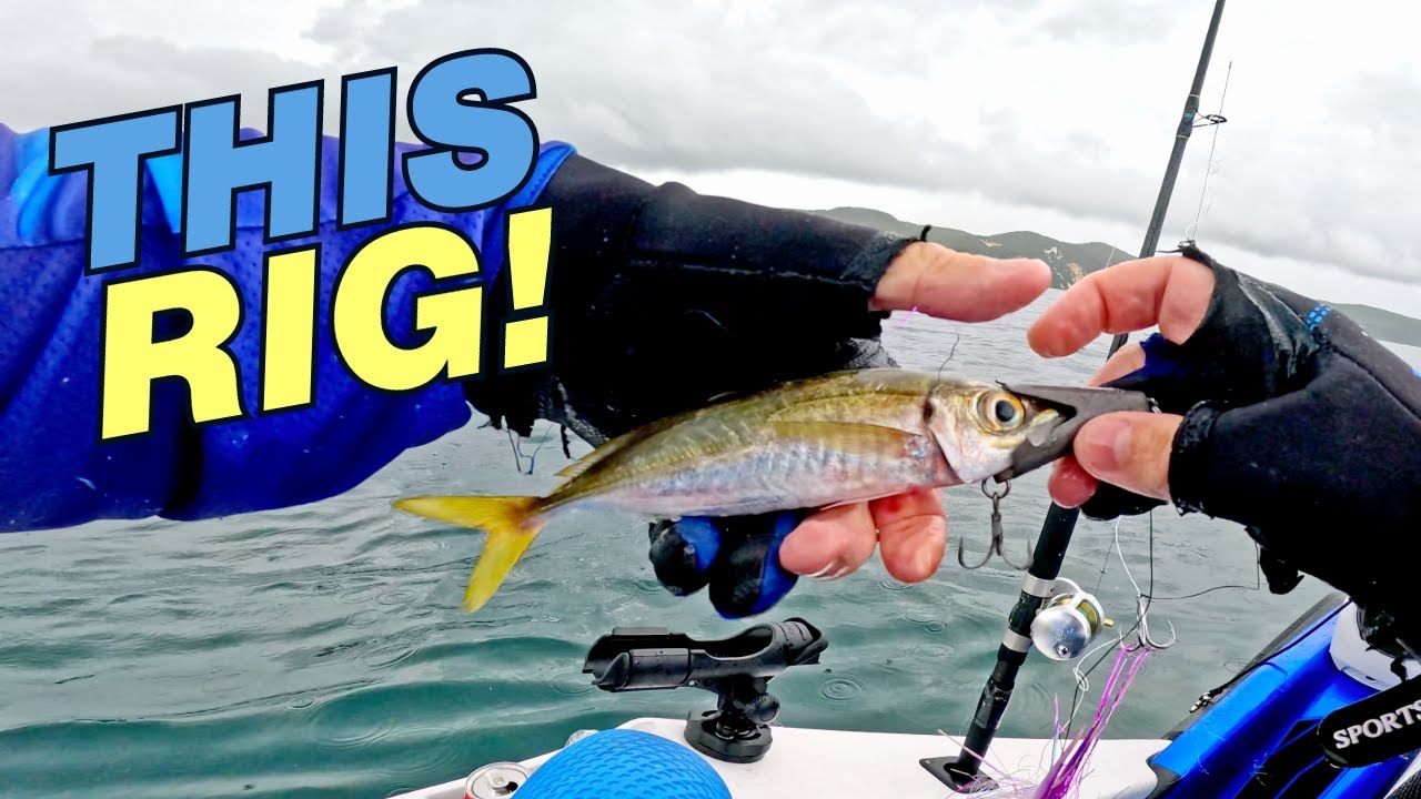 FISH ON with this RIG!