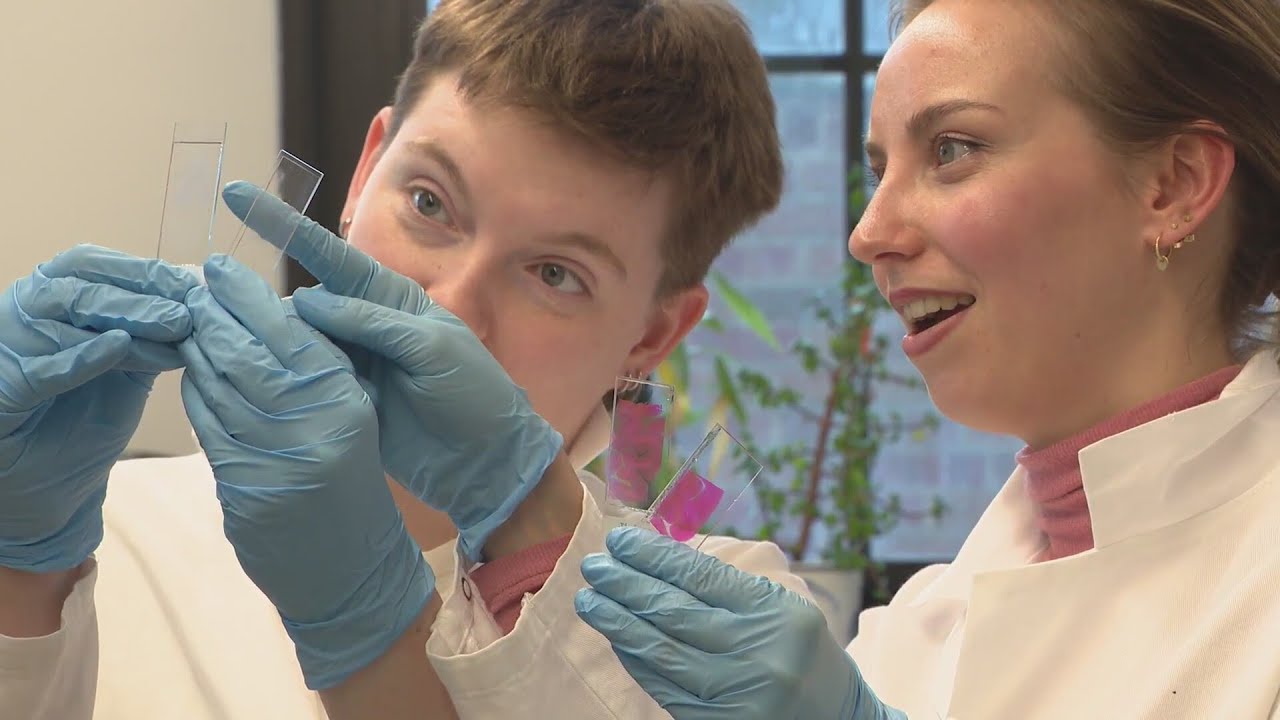 Chicago scientists make key finding that may improve Alzheimer's drugs