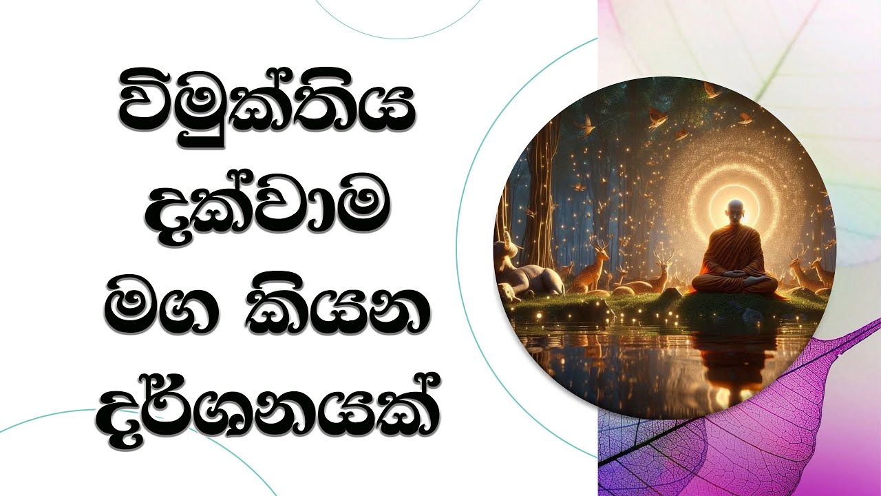 විමුක්තිය දක්වාම මග කියන දහම් මගක්.. Ven. Mankadawala Sudassana Thero