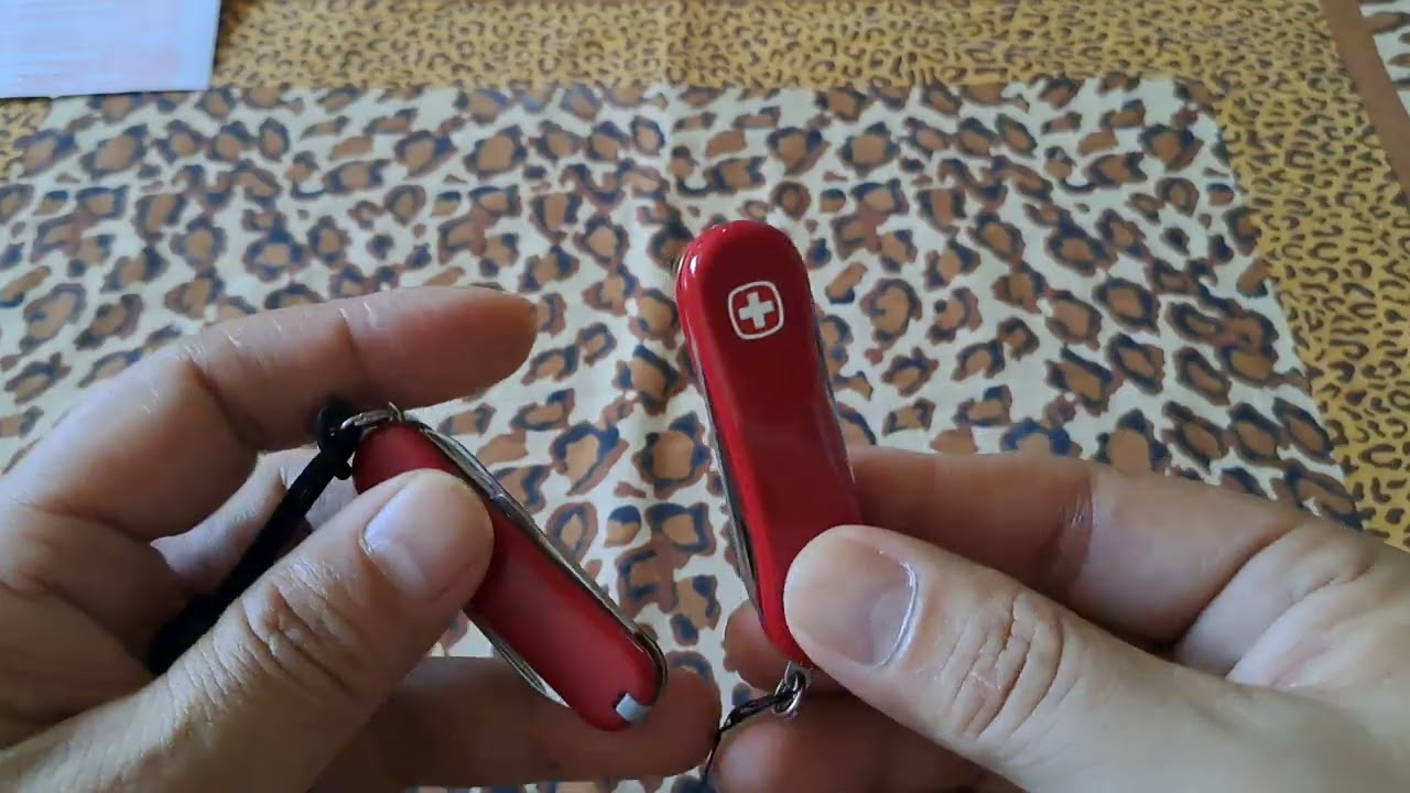 (232) WENGER  EVOLUTION 81 / 웽거 에볼루션81 리뷰!