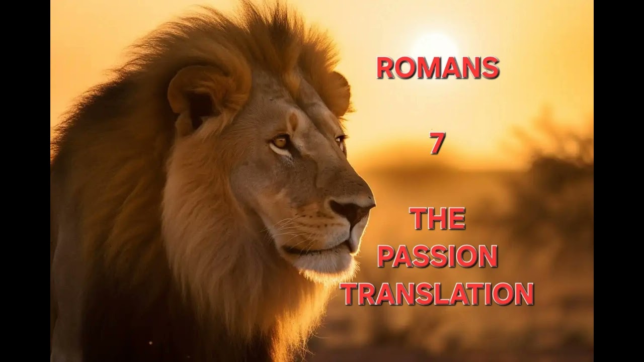 Romans 7 The Passion Translation TPT Audio Bible 