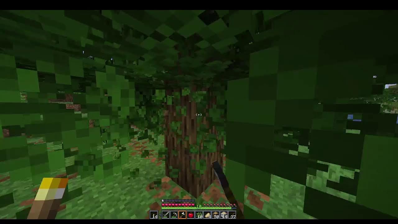 Minecraft Survival Live Edition
