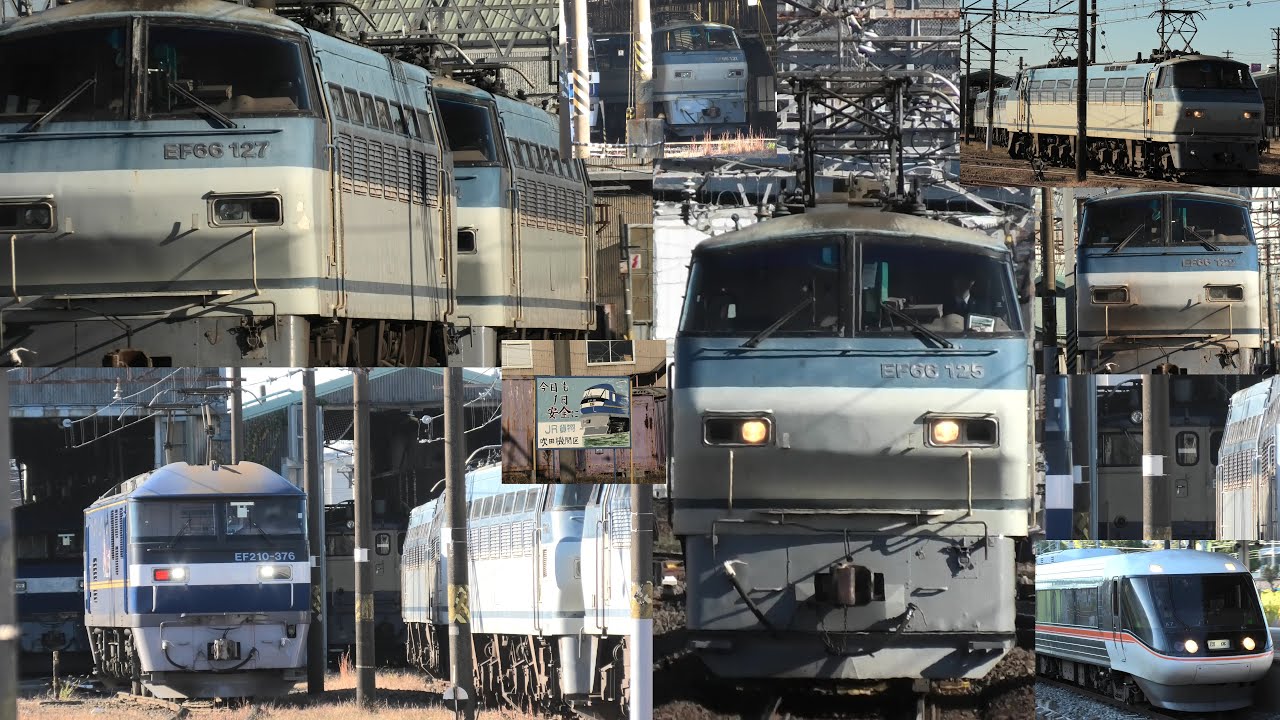 大阪しなの復活＆吹田機関区でEF66サメとクリプレEF65 2101号機を撮影【2025年12月6日】