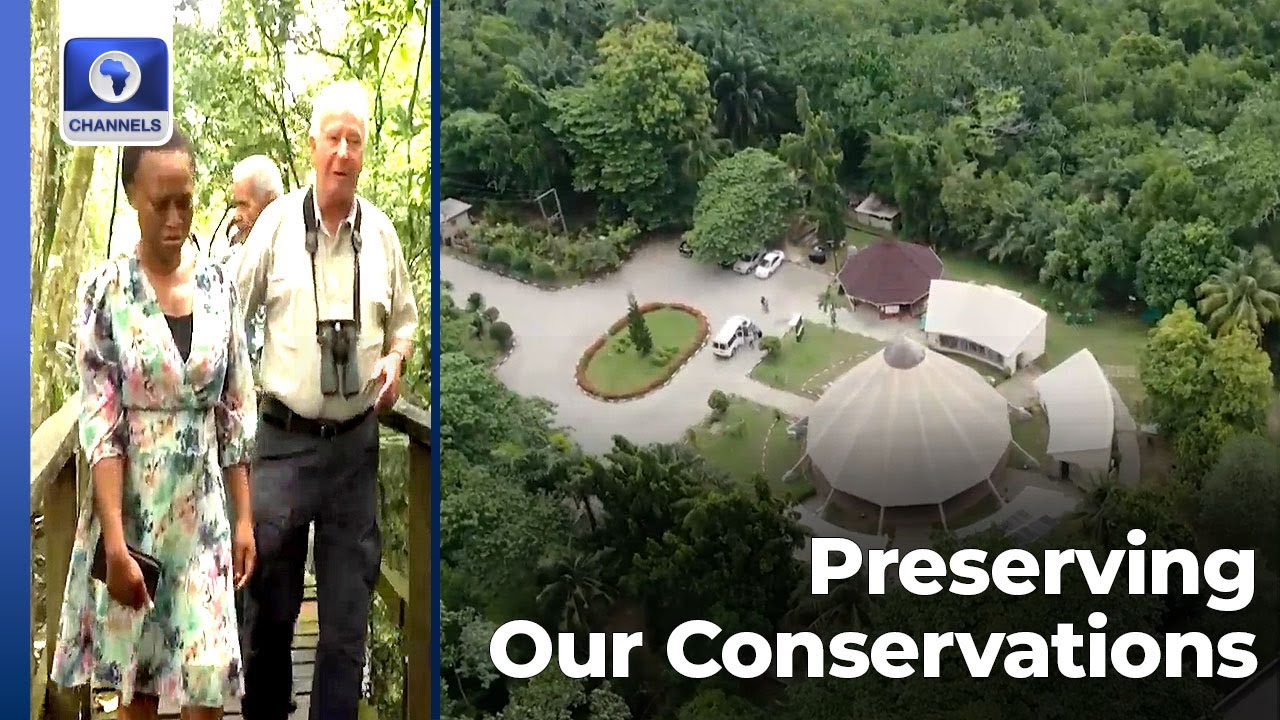 Environmentalists Urge More Support For Conservations In Nigeria +More | Earthfile