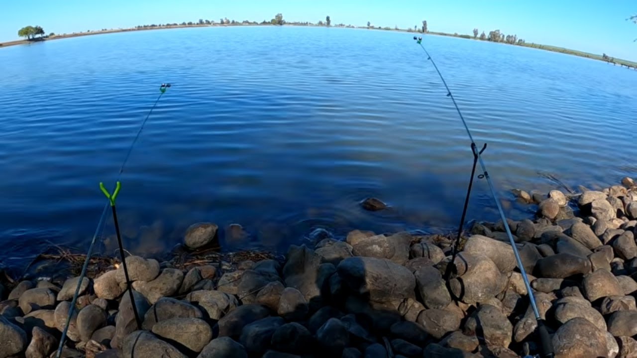 Trout Fishing Big Bite Big Fish!!! (Yosemite Lake Fishing)