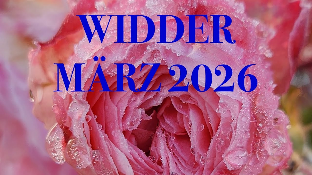 Widder im März: Es sieht besser aus als du denkst