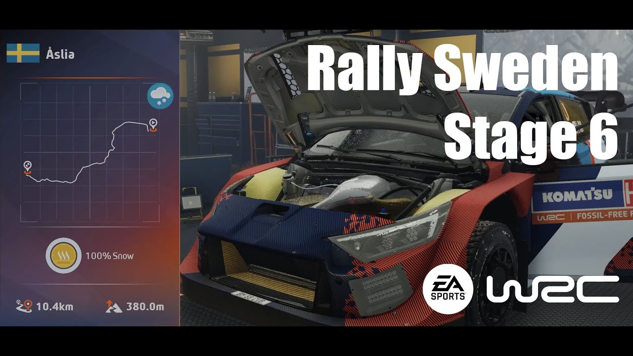 FIA WRC Rally Sweden Stage6