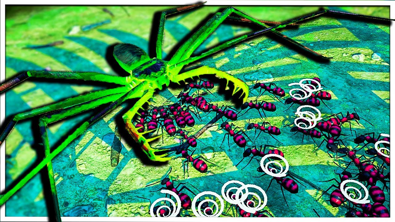 MASSIVE INSECTS Battle All Out Against Black Ants | Empires Of The Undergrowth