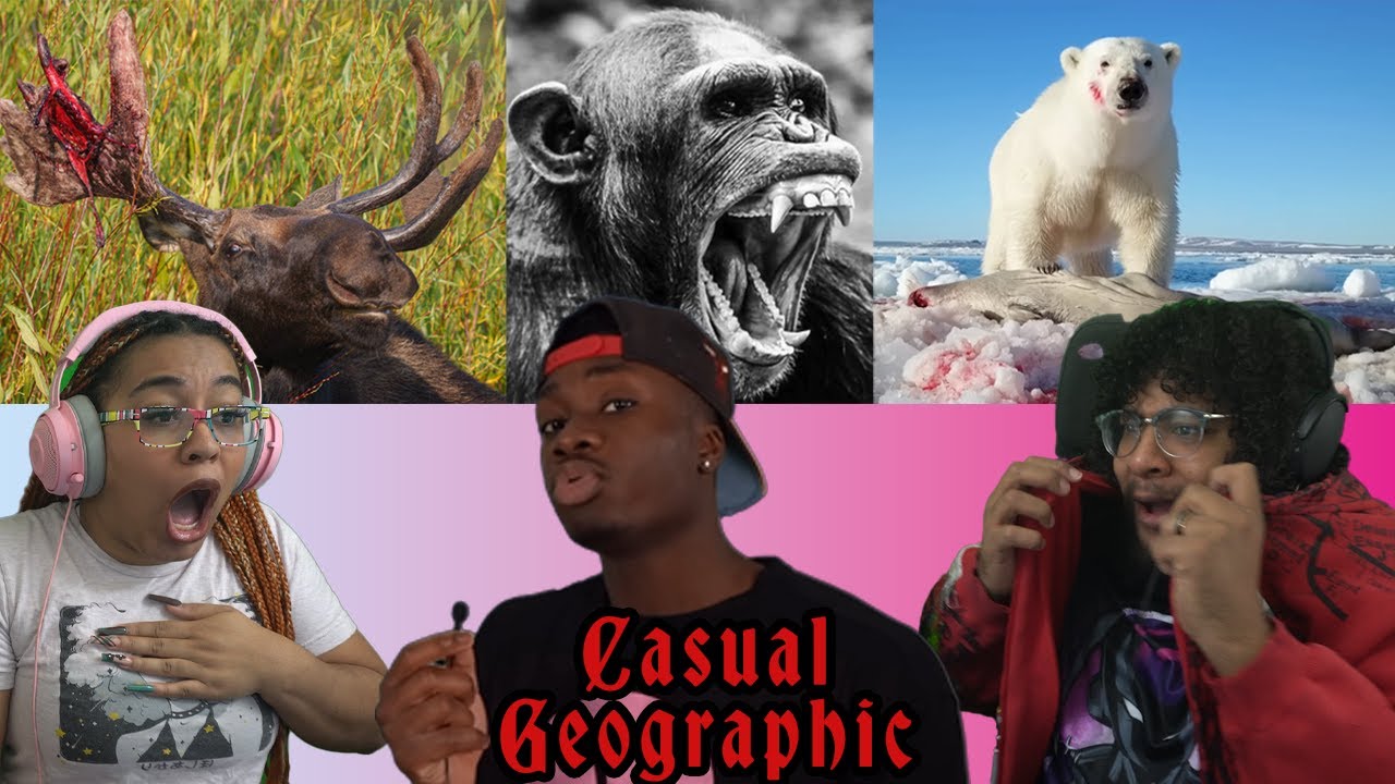 How To Not Get Unsubscribed From Life By Animals pt. 1 | Casual Geographic REACTION ft. Chavezz
