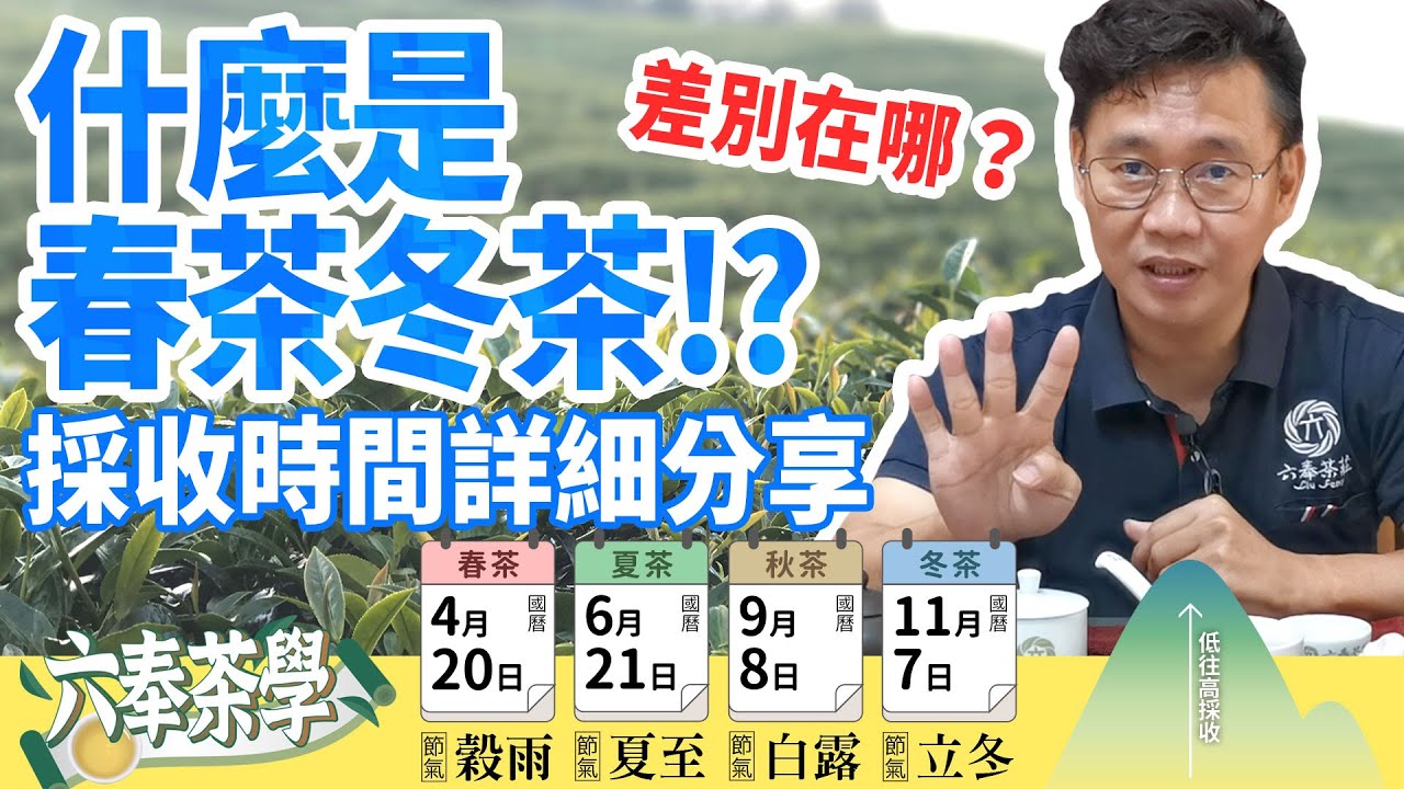 【六奉茶莊】什麼是春茶、冬茶？詳細採收日期及茶湯差異性分享~六奉茶莊全新場景初登場！