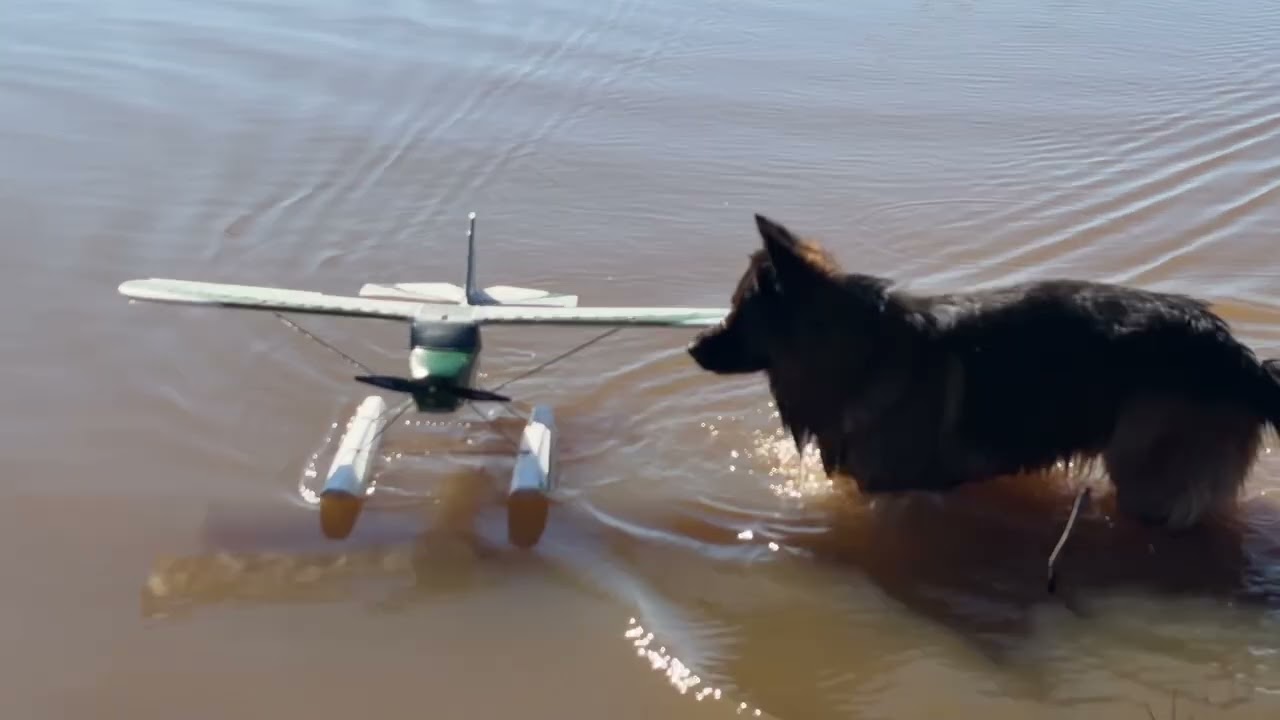 My GoPro Video