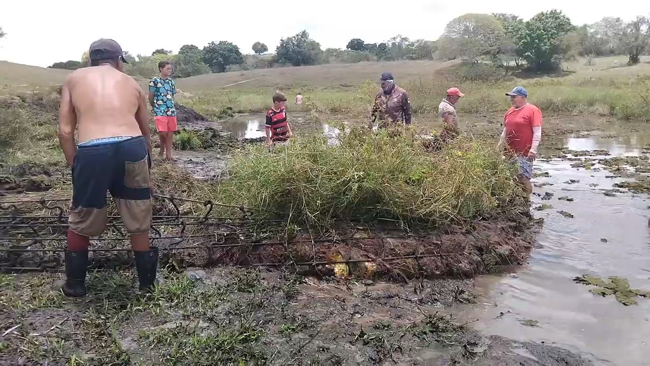Limpando o açude do Givanildo no sítio  água  Branca  Alagoas 