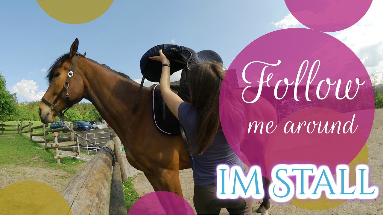 Follow me around im Stall #springen #nichtrunterfallen ★