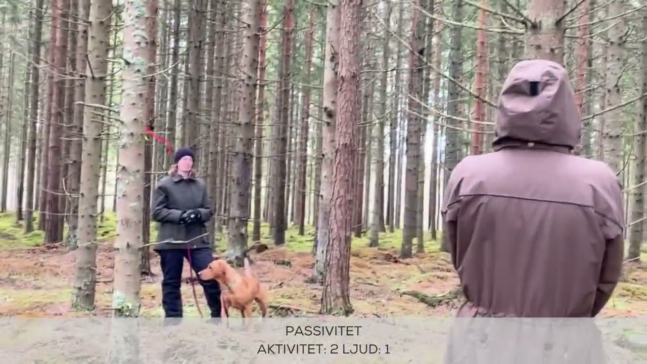 Rowan funktionsbeskrivning retriever FBR 2024-04-14