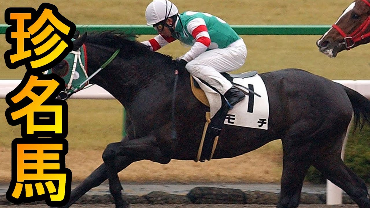 【競馬】なんでそんな名前を付けたのか分からない珍名馬たち