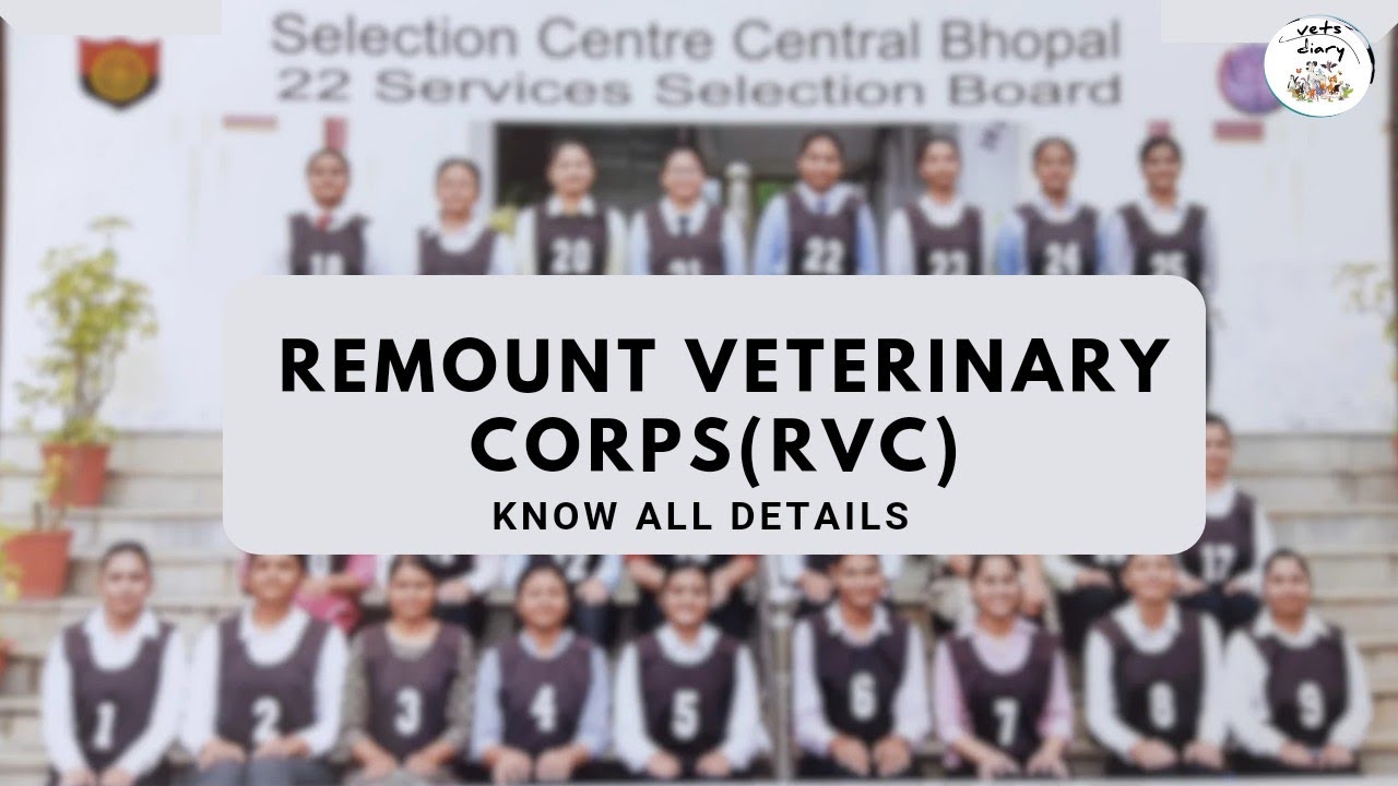 Remount Veterinary Corps(RVC)| First SSB Experience ||Documents required|Dress code/Know all details