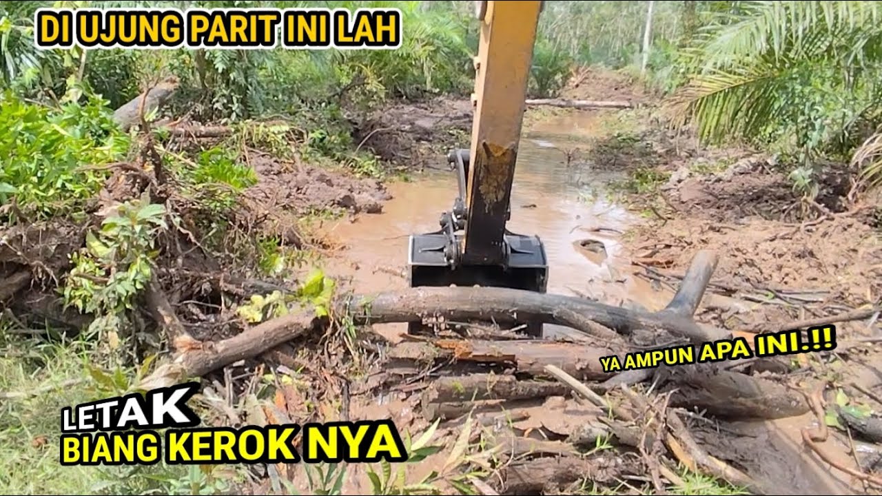 Astaga..!! ternyata banyak glondongan kayu yang menumpuk di ujung parit ini