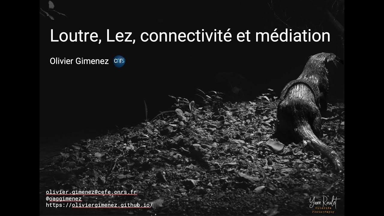 Loutre, Lez, connectivité et médiation scientifique ; un point d'étape sur nos projets.