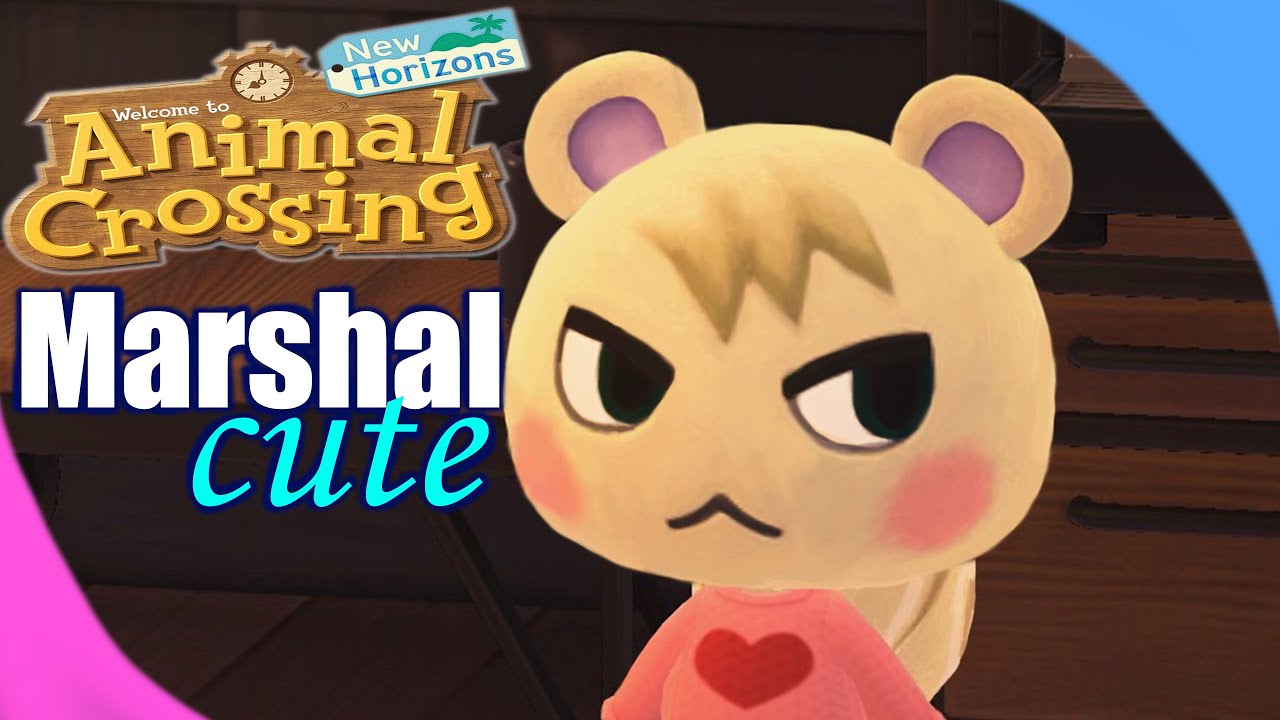 Marshal Does Cute Things | Animal Crossings New Horizon
