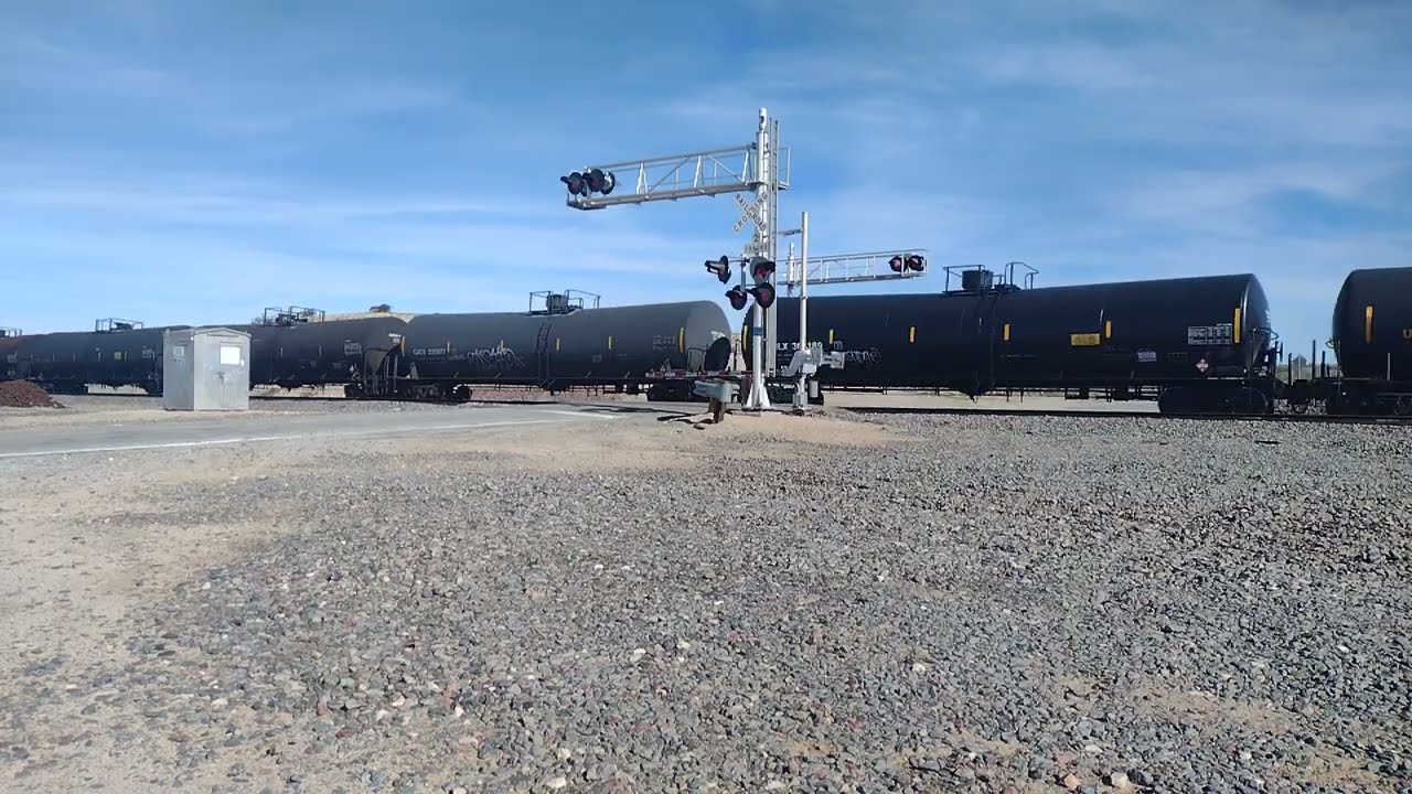 Monster EB UP Manifest Train At Hodge CA! #bigbossrailfanner