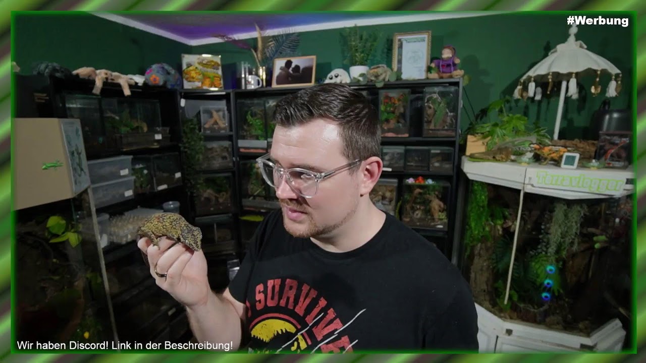 Terraristik Stream vom 23.01.2026