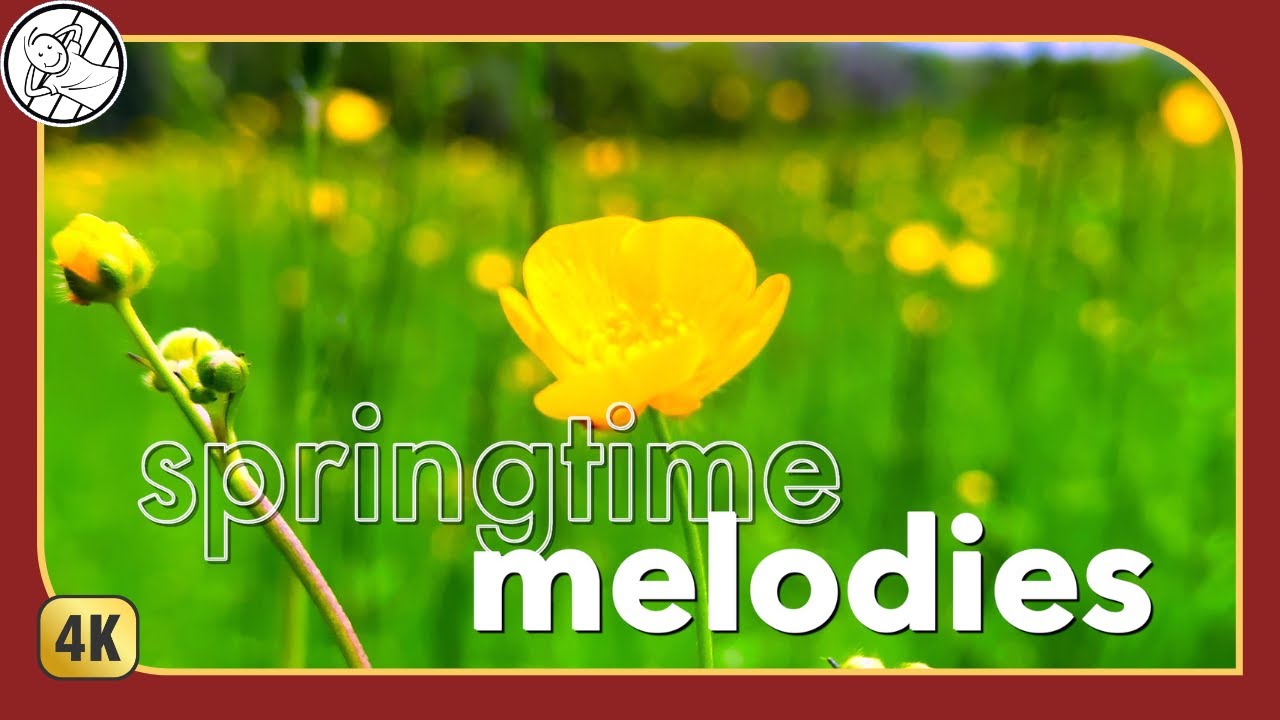A Delightful Nature Escape with Acoustic Springtime Melodies | Celebrate Sunshine | 4K