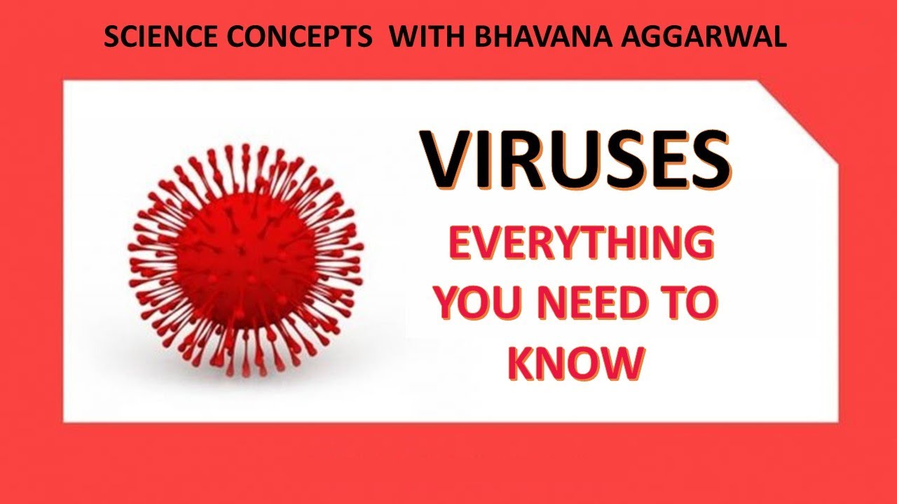 VIRUS - Everything you need to know | 5 facts about viruses | Characteristics of viruses