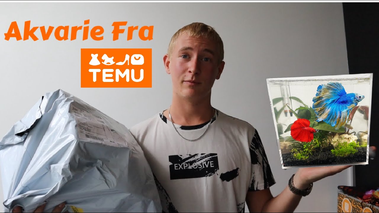Opsætter Akvarie Fra TEMU
