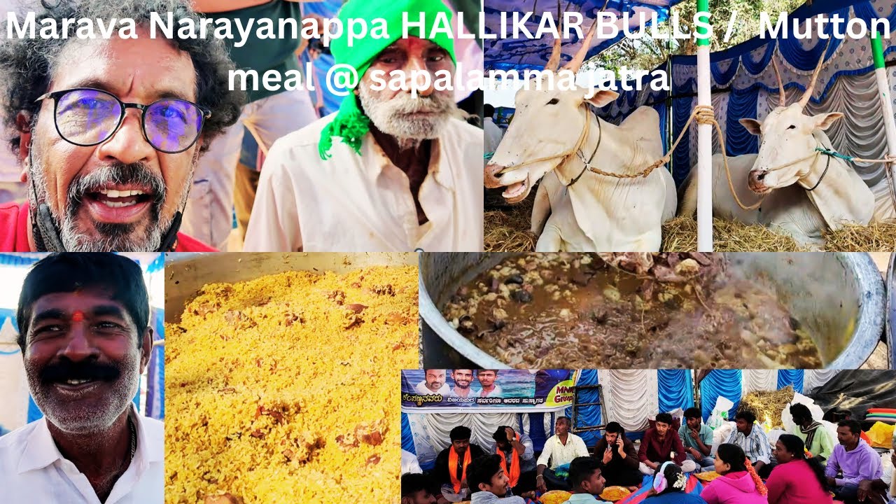 E P 6 Marava Narayanappa HALLIKAR BULLS /  Mutton meal @ sapalamma jatra 2026