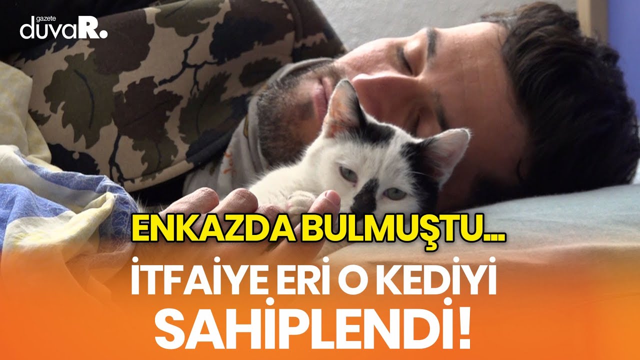 İtfaiye eri, enkazdan 129. saatte kurtardıkları kediyi sahiplendi