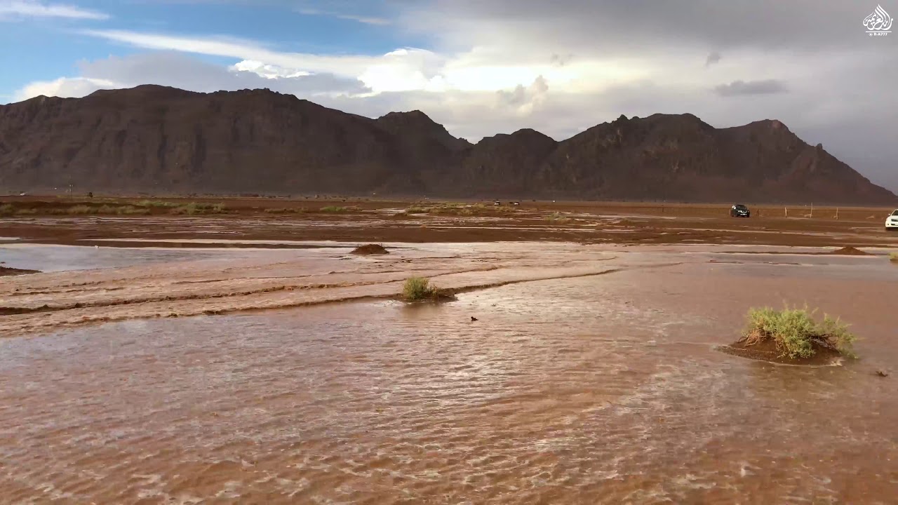 امطار الفواره بالقصيم