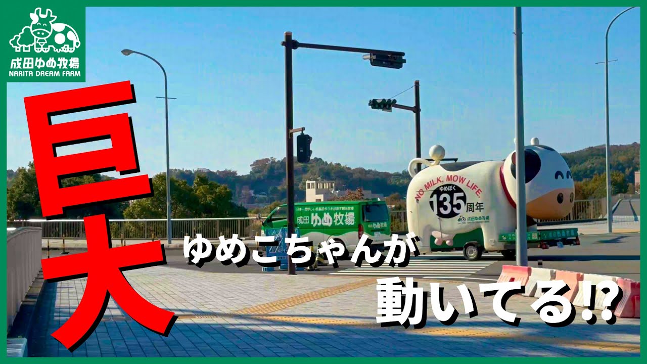 ゆめこちゃんのキッチンカーの1日に密着！