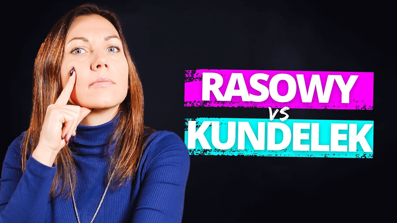 Rasowy vs kundelek