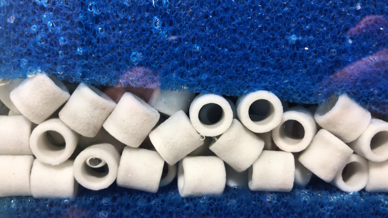 Beta Akvaryum sump sistemi (durso sump sistemi)