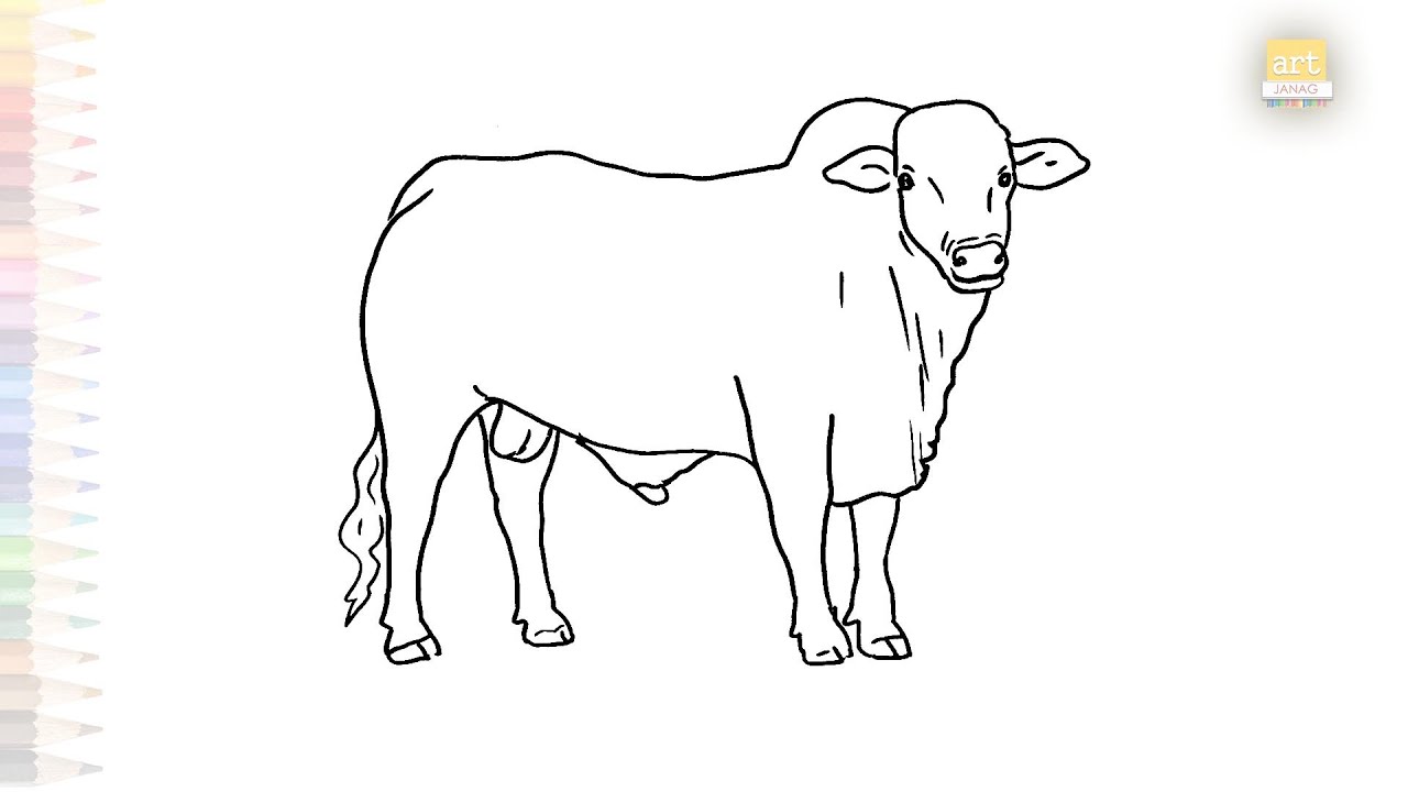 Young bull drawings | Animal drawing tutorials | How to draw A Bull step by step | #artjanag