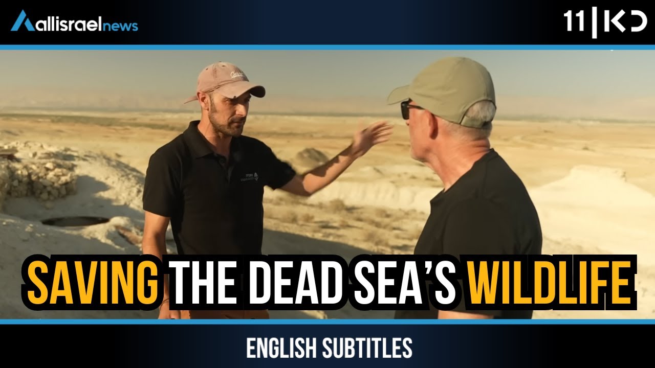 The Fragile Beauty of the Dead Sea Area — and the Plan That Threatens It | KAN 11