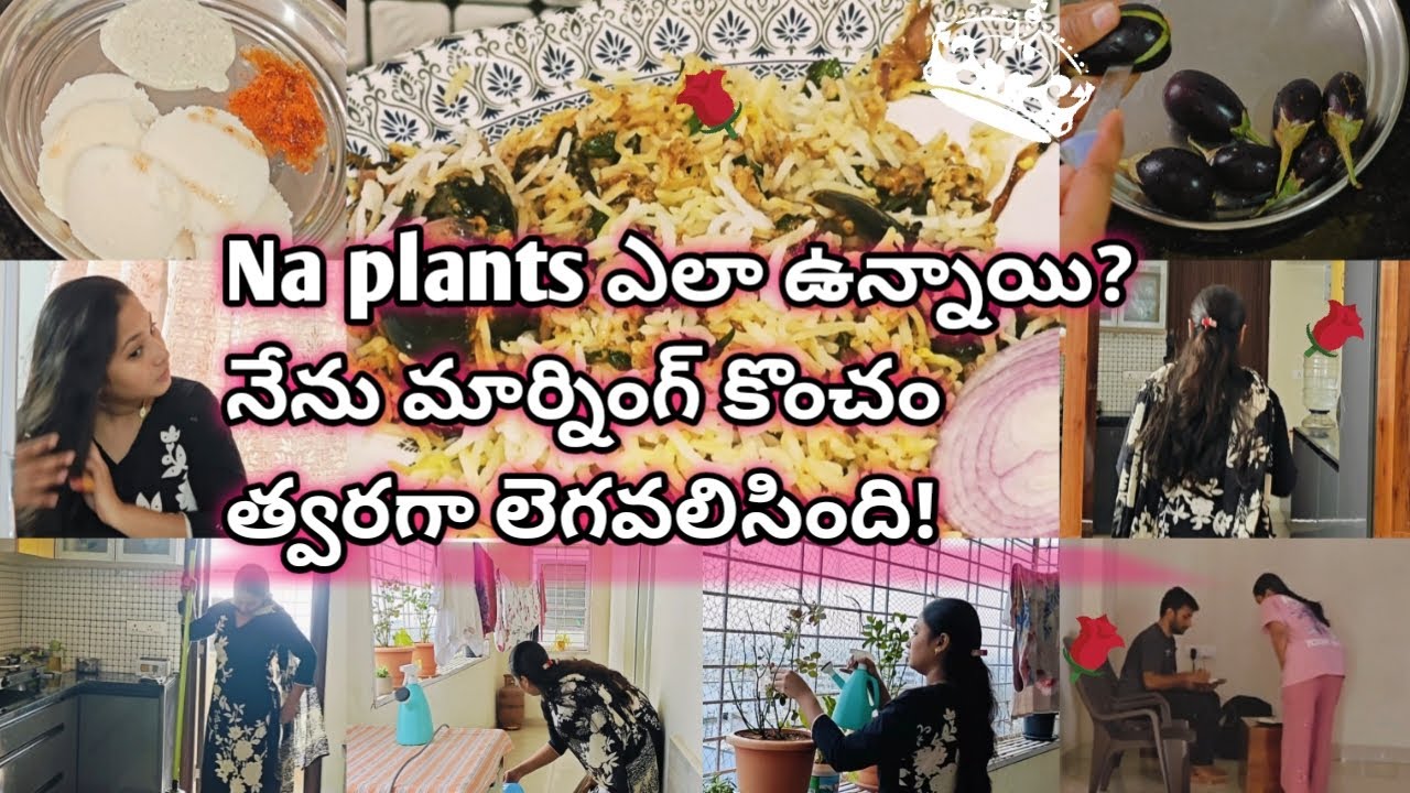 Morning vlog starts😍 అసలు ఈ డే మొత్తం ఏం చేసాను🤔?