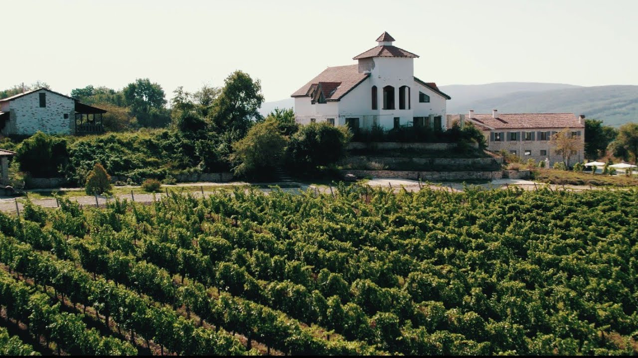 промо ролик винодельни Chateau Andre