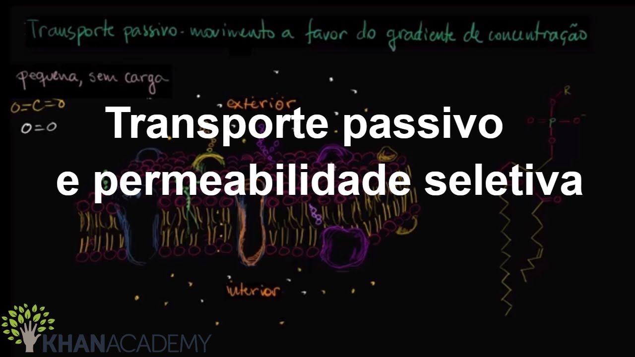 Transporte passivo e permeabilidade seletiva | Membranas e transporte | Biologia | Khan Academy