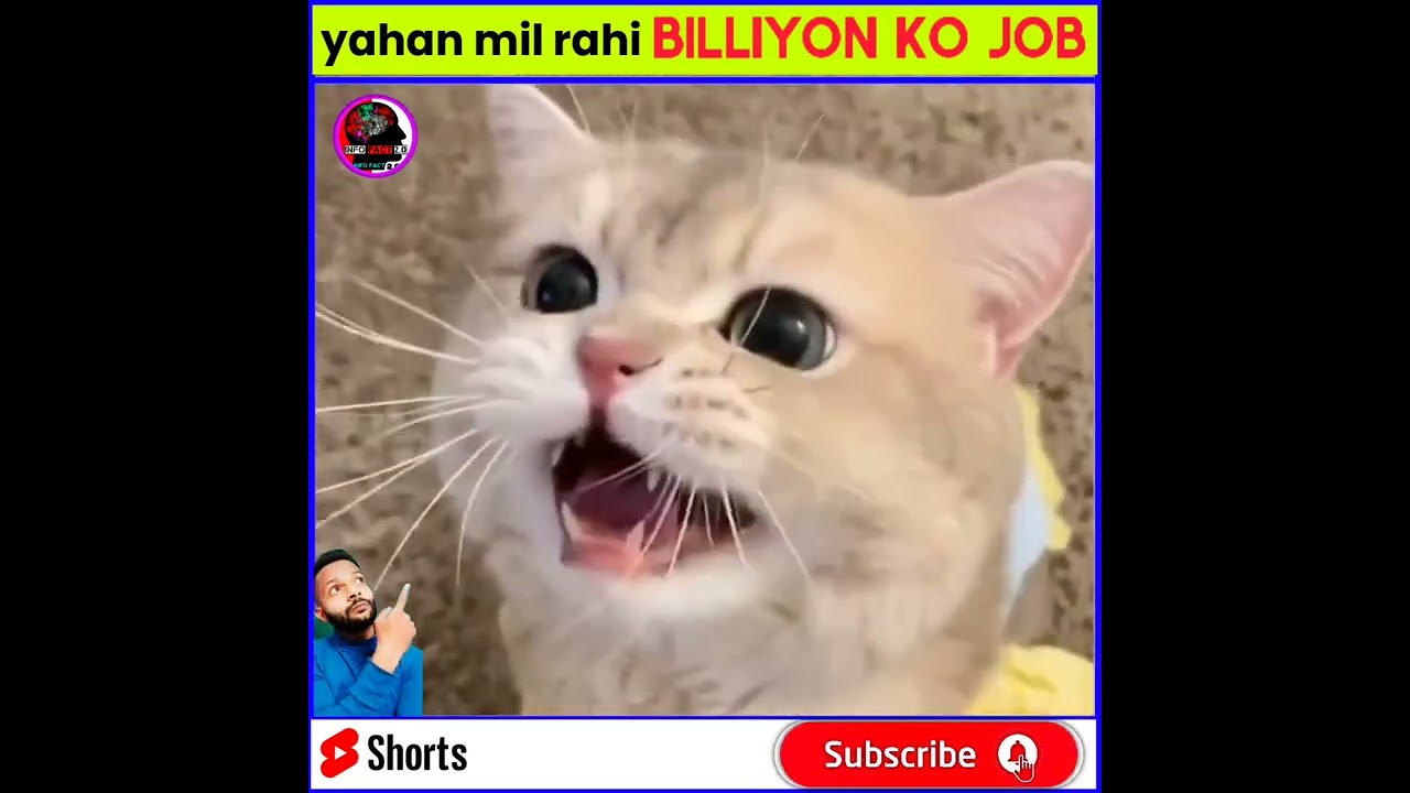 यहां मिल रही है बिलियों को जॉब 😳😳😳 