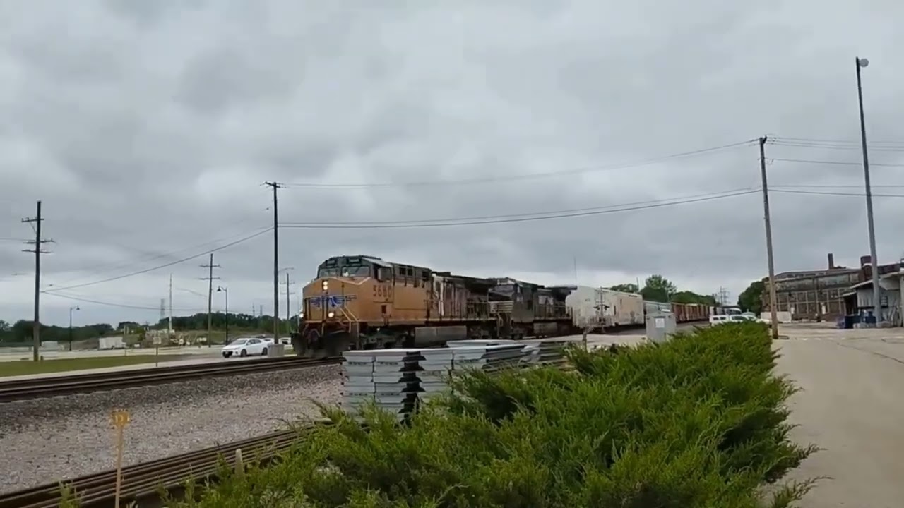 All Of My NS D9-44CW Catches Of 2025!