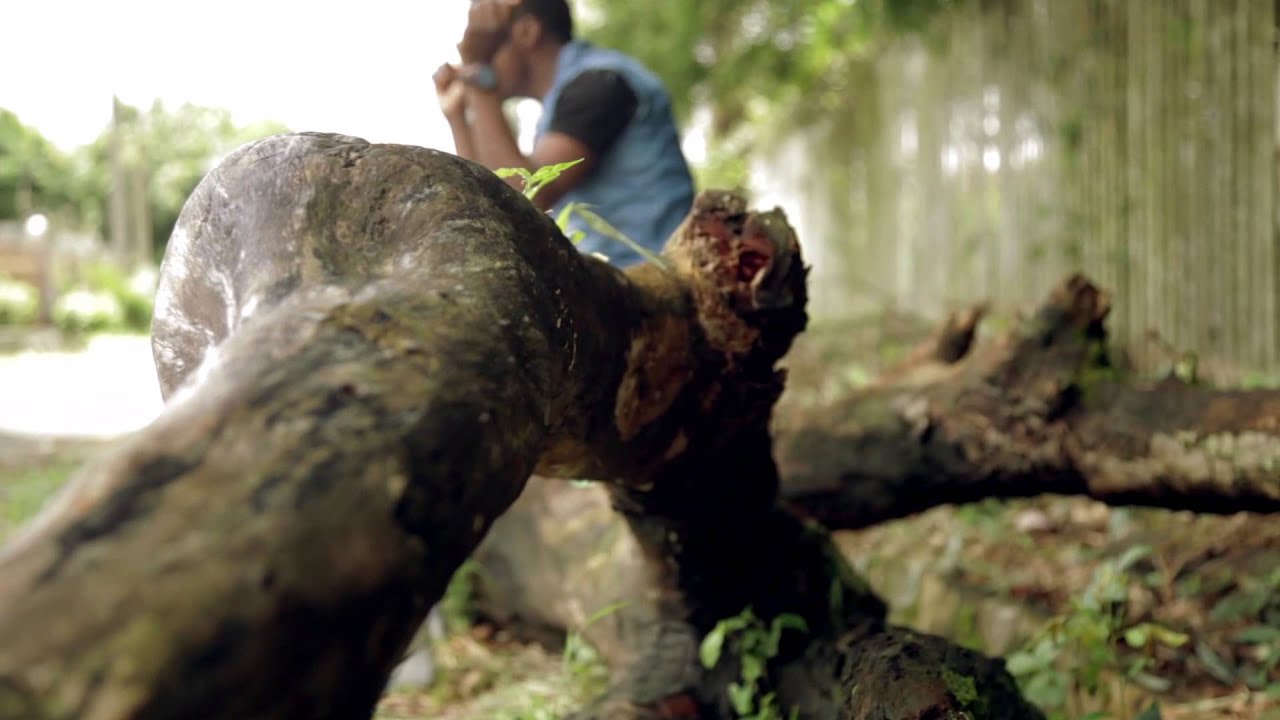 FISSY K akomilekan si OFFICIAL VIDEO TV MOV