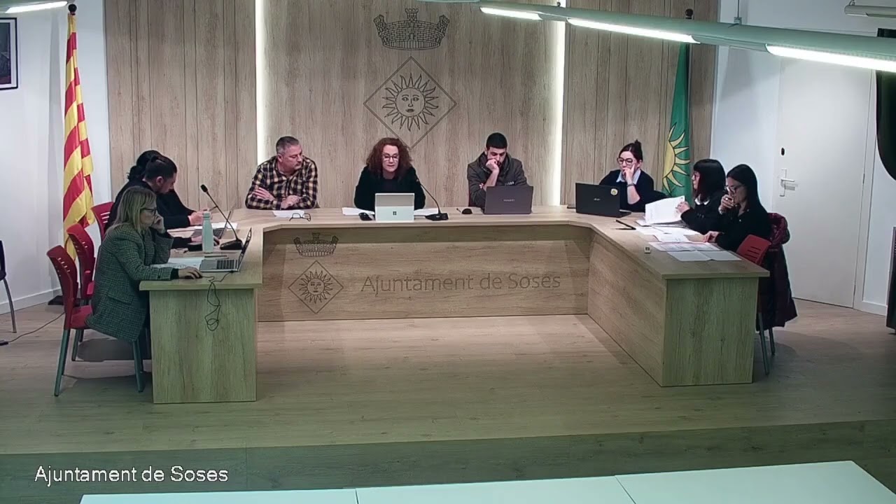 Ple Ordinari 7/2025 de 17 de desembre de 2025