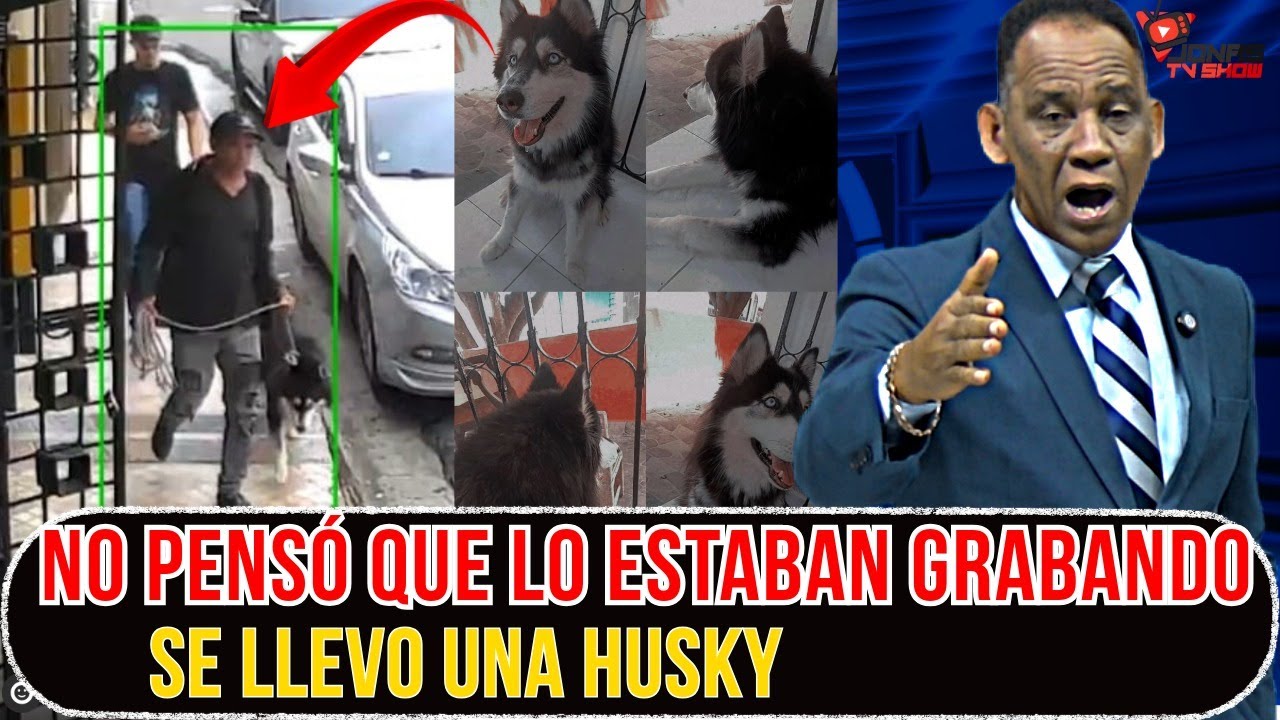 MIRALE LA CARITA LLEVO UNA HUSKY PERO LO TENIAN GRABADO