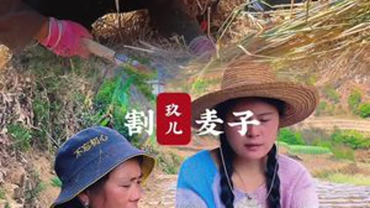 父母深爱子，则为之计深远，忙碌了一天的老母亲没有责怪我，而是担心我的身体#我的乡村生活 #割麦子 #乡村生活记录