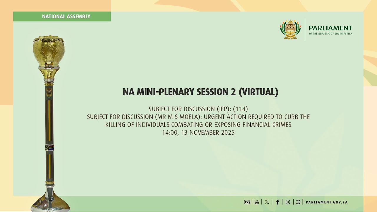 NA MINI-PLENARY SESSION 2 (Virtual), 13 November 2025