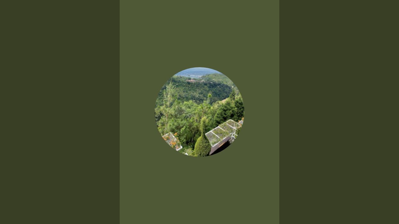 Mabar Super Bear Adventure