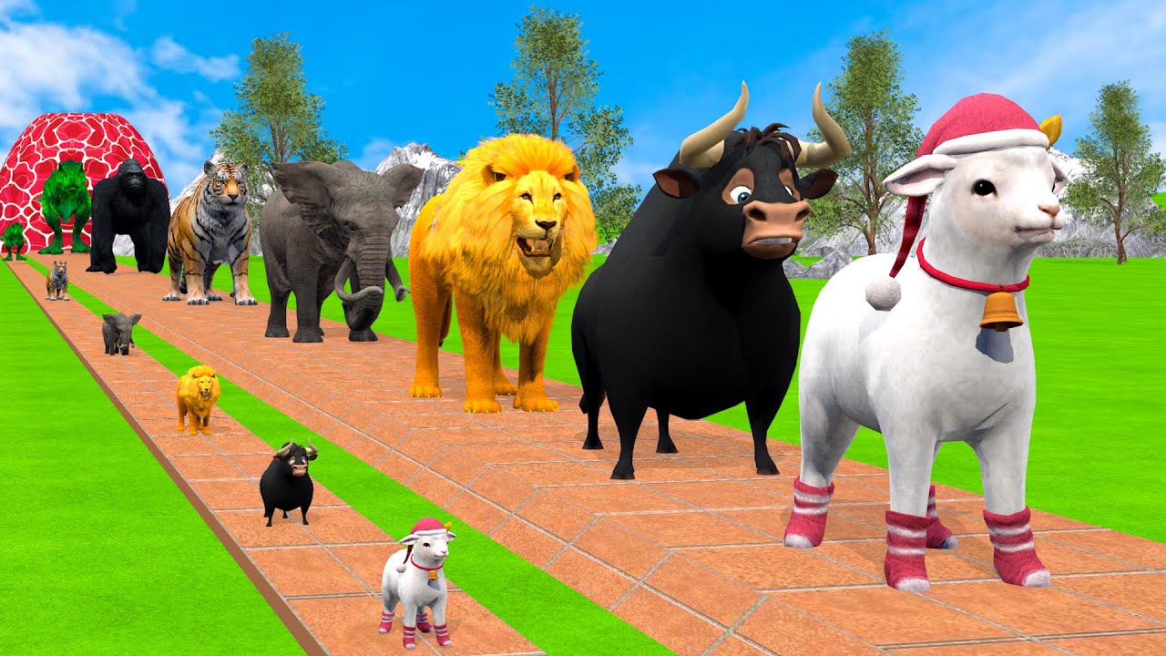 Long Slide Game With Cow Elephant Gorilla Hippopotamus Tiger - 3d Animal Game - Funny 3d Animals