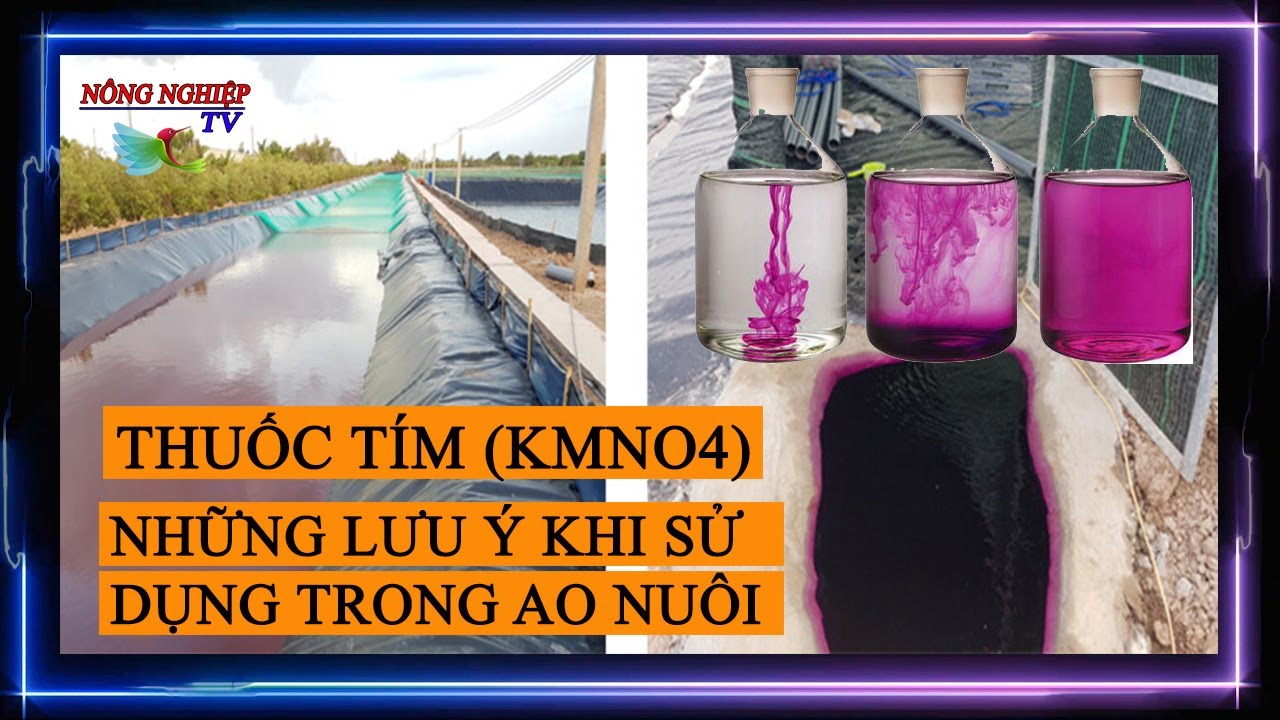 HIỂU VỀ THUỐC TÍM TRONG NUÔI THỦY SẢN