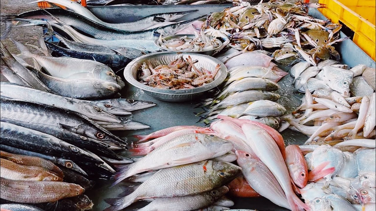 உடுமலைப்பேட்டை Fish Market | நல்ல மீன் எப்படி கண்டு பிடிக்கிறது‼️ | Fabby